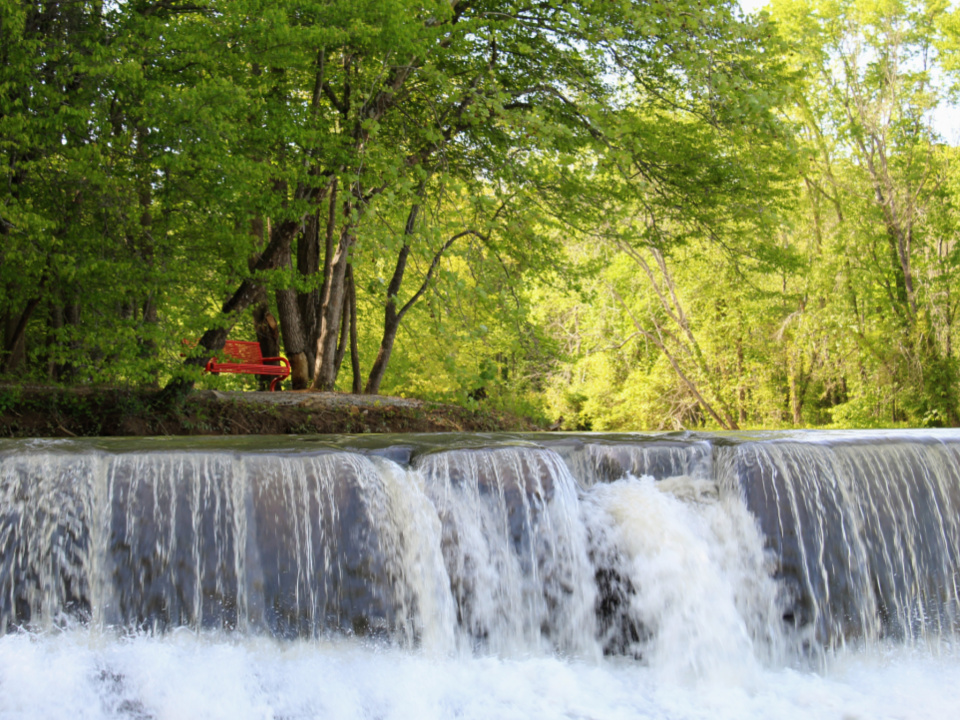 Image of red bench overlooking RiverPark at Cooleemee Falls by Jessica White